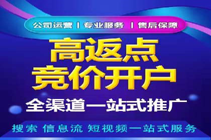 谷歌竞价广告的出价策略及某公司实践案例